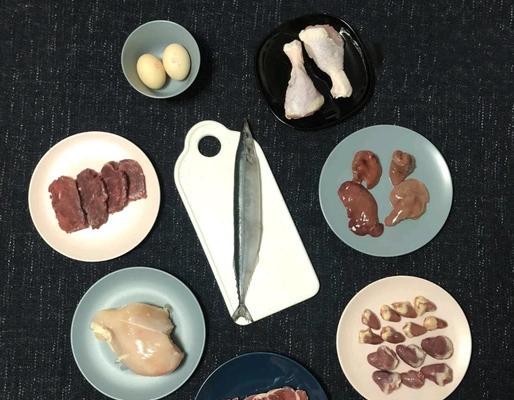 生肉喂养转换指南：猫粮到生肉的正确步骤？