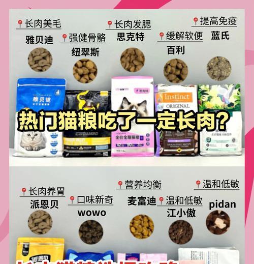 猫粮什么价格比较实惠好吃？如何在预算内选择优质猫粮？