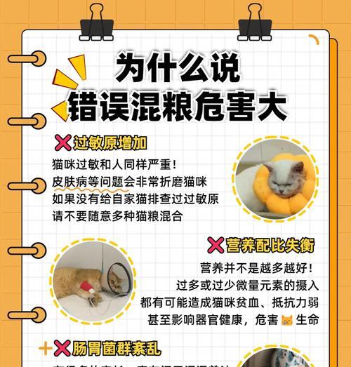 猫粮需要配水吗？为什么猫粮不能直接吃？