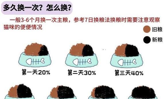成年猫是否需要换粮？换粮的正确时机是什么时候？