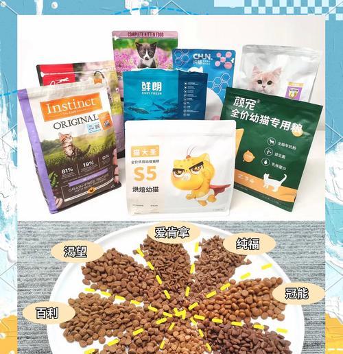 为猫咪泡粮补水哪种方法更合适？