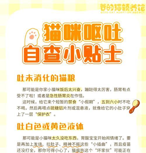 小猫呕吐后需要禁食多久？如何判断何时恢复喂食？