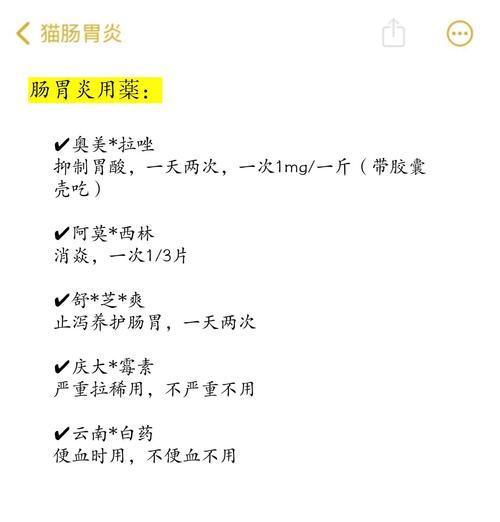 小猫呕吐后需要禁食多久？如何判断何时恢复喂食？
