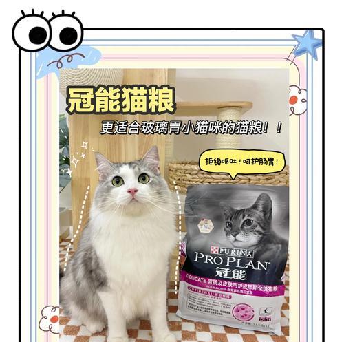 猫吐猫粮的原因是什么？