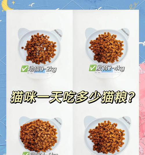 猫吃了就吐吃什么猫粮管用？如何选择适合的猫粮？
