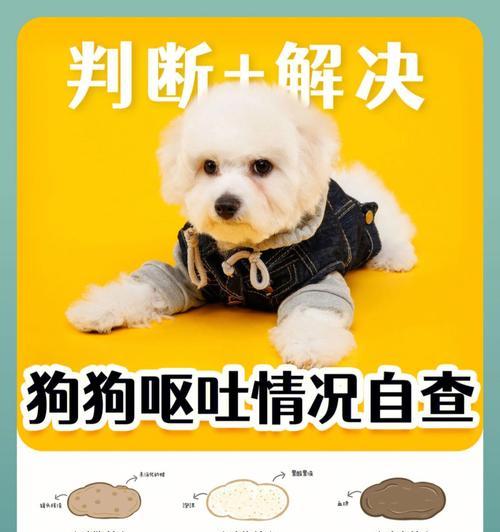 小狗呕吐狗粮的原因是什么？如何预防？