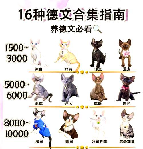德文猫粮的正确投喂量是多少？