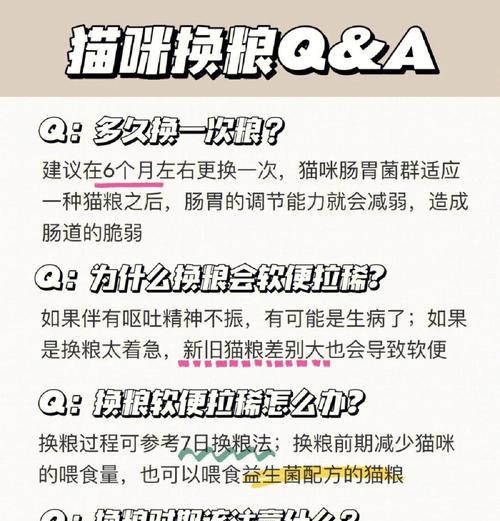 猫咪呕吐后是否需要更换猫粮？换猫粮有哪些注意事项？