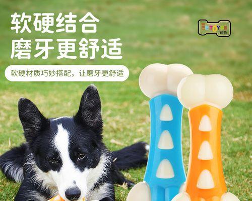 德牧玩具耐咬套装的价格是多少？如何选择合适的耐咬玩具？
