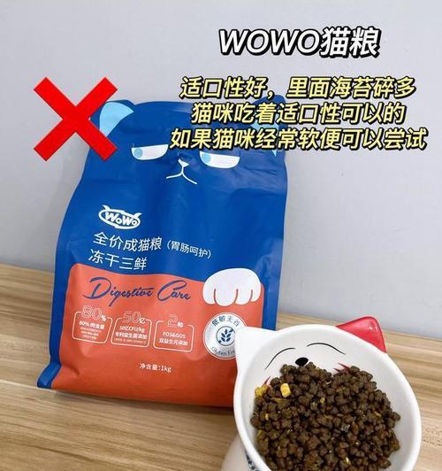 猫粮中常见的有害成分有哪些？
