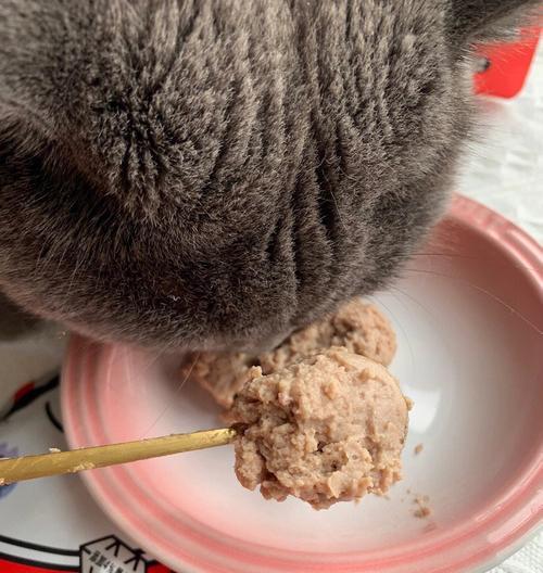 猫吃湿粮的必要性是什么？为什么要选择湿粮？