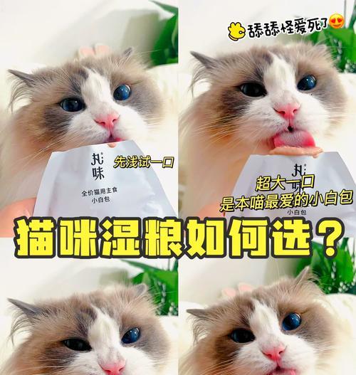 猫吃湿粮的必要性是什么？为什么要选择湿粮？
