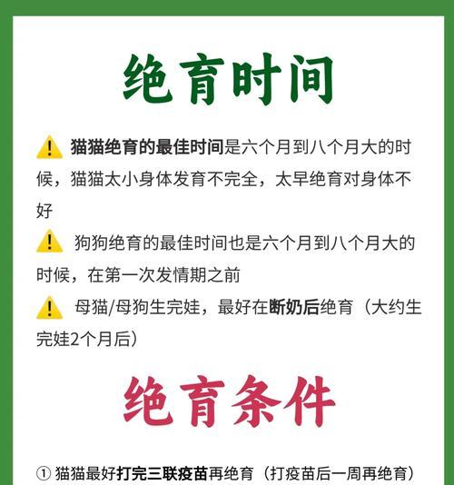 墨西哥小黑熊绝育的最佳方法是什么？有哪些注意事项？