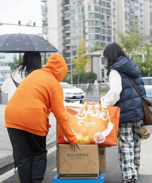 给流浪猫送猫粮的老板叫什么？如何联系他们获取帮助？
