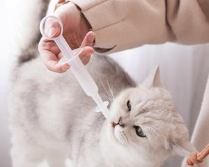 喂药器怎么喂湿猫粮？使用喂药器喂猫粮有哪些注意事项？