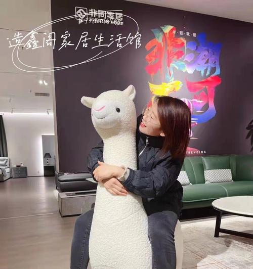 座椅羊驼颜色如何调整？调色时应注意哪些问题？