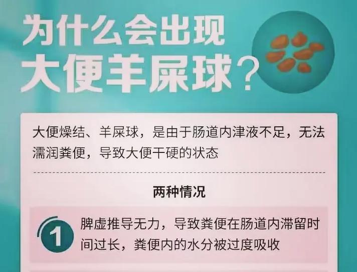 大便有羊驼屎怎么回事？这种情况需要服用什么药物？