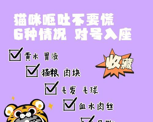 猫咪吃面条和猫粮后呕吐是什么原因？如何预防？