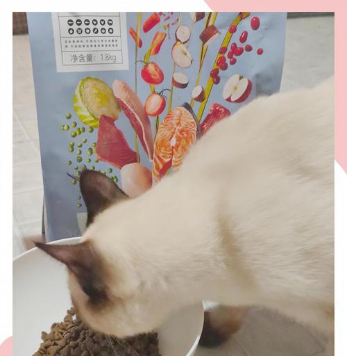 猫咪怎么爱上猫粮的味道