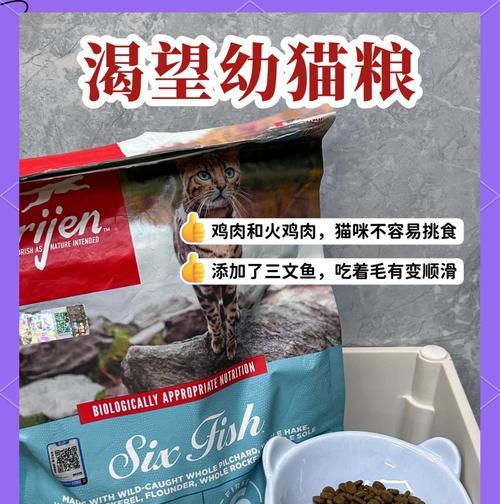 新生小猫适合哪种猫粮？