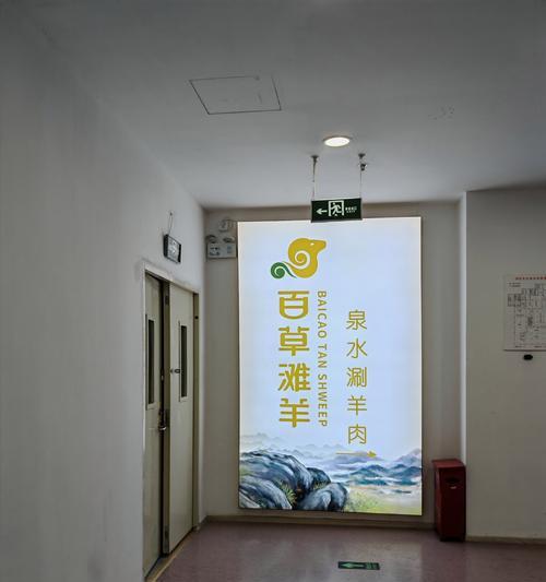 如何给专门洗羊驼的店铺取名？店铺名字有什么讲究？