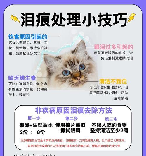 猫粮导致泪痕和便秘的原因是什么？