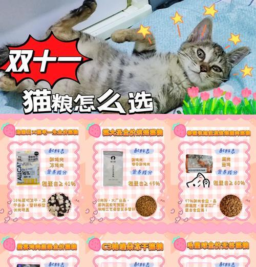 哪种猫粮营养最丰富？如何判断猫粮的营养价值？