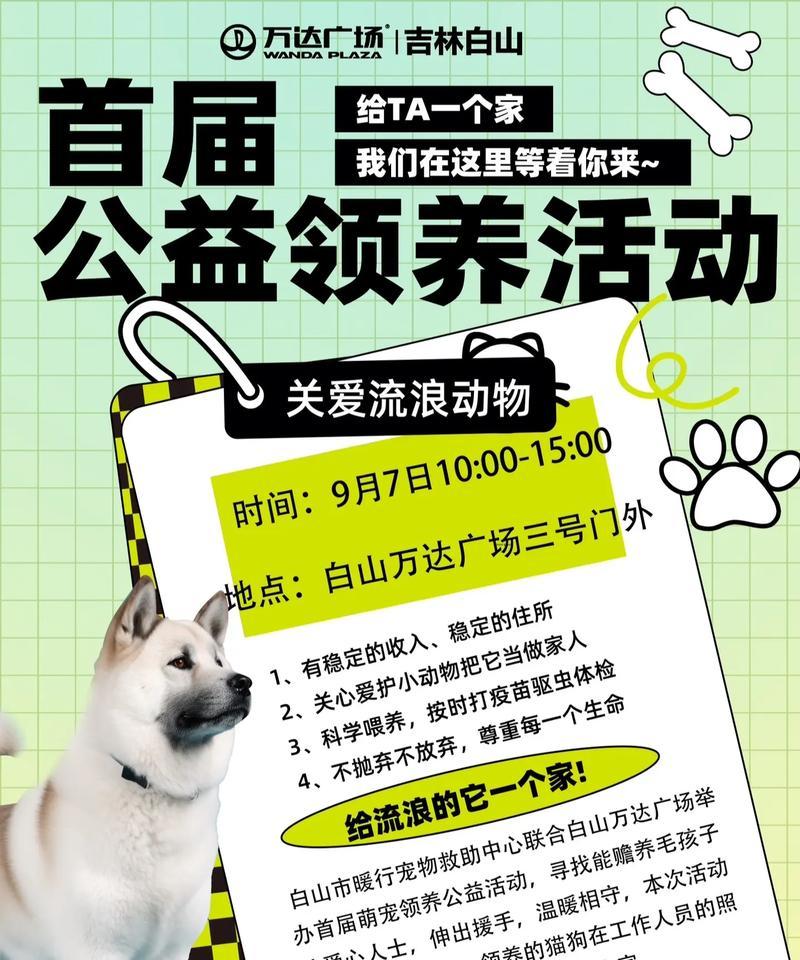 香港猫粮捐赠政策文件是什么？香港有哪些猫粮捐赠政策？