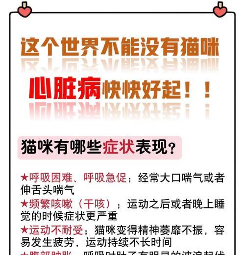 猫粮与猫咪心脏病的关系是什么？