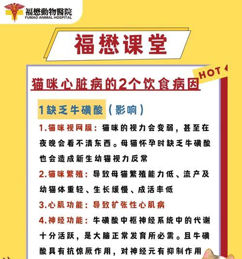 猫粮与猫咪心脏病的关系是什么？