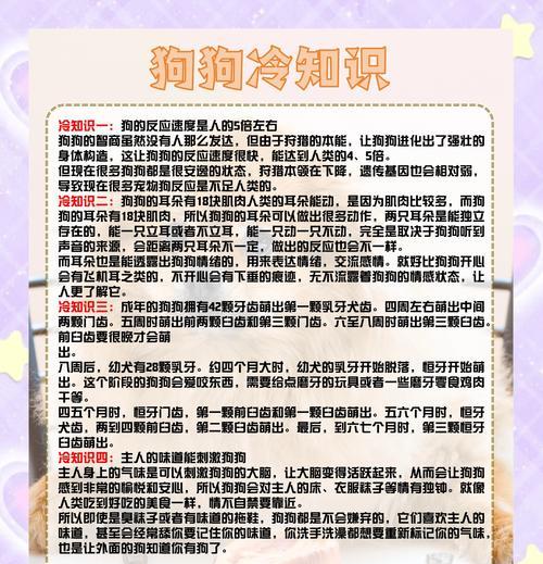小型犬误食猫粮后应该怎么办？猫粮对小型犬的影响有哪些？