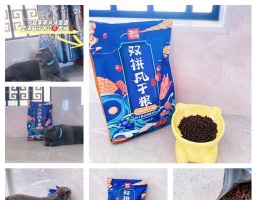 宿迁猫粮厂工作怎么样？是否适合长期发展？