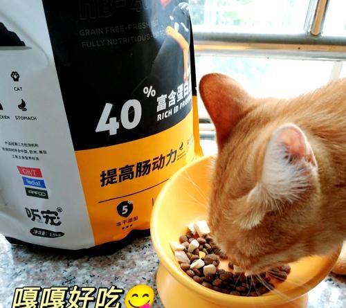 猫换粮拉粑粑干怎么办吃什么药？如何缓解猫咪便秘问题？