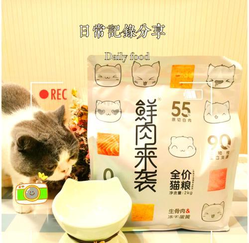 猫粮碗的正确使用方法有哪些？