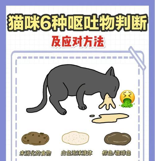 小猫吐出褐色猫粮是什么原因？