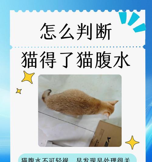 泡猫粮还喂水吗？为什么会导致拉稀？