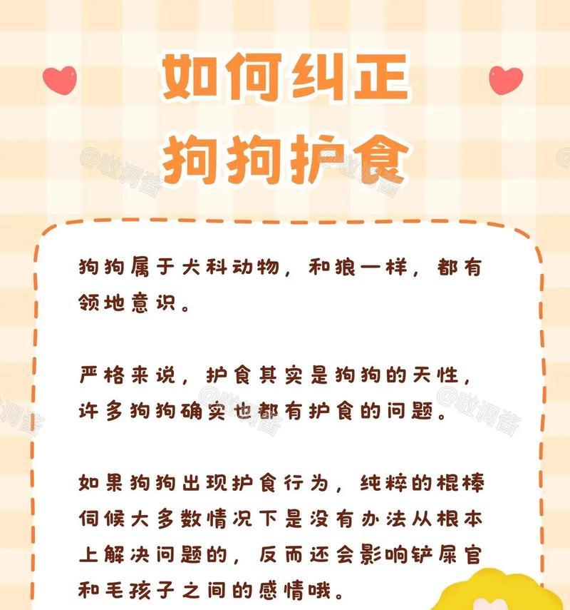 如何防止狗狗误食猫粮？