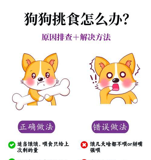 如何防止狗狗误食猫粮？