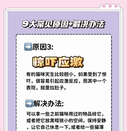 猫拉肚子全是猫粮是何原因？需要采取什么措施？