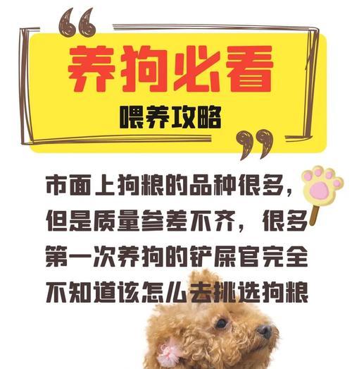 小孩在农村如何为狗狗配制合适的狗粮？配粮时应注意哪些营养均衡？