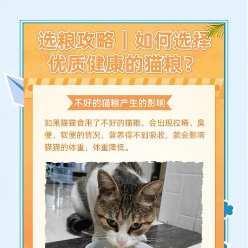 一月半大的猫咪应该吃什么猫粮？如何选择合适的猫粮？