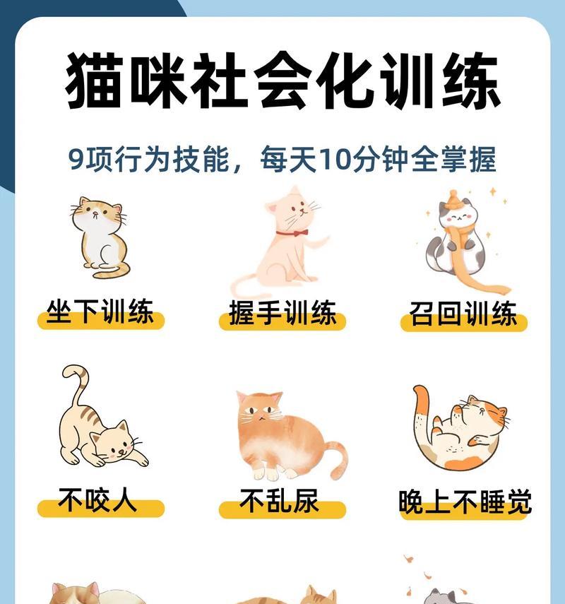 如何训练小猫慢慢适应猫粮？有哪些有效方法？