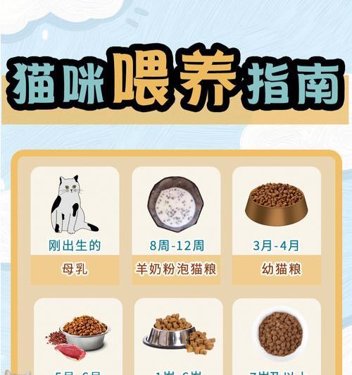 有猫粮应该怎么喂猫？如何正确喂食猫粮？