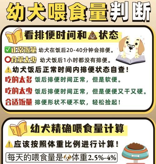 看德牧大便喂多少食物合适？如何根据排便情况调整喂食量？