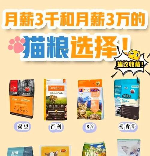 猫咪在不同季节应该吃什么猫粮？如何选择合适的猫粮？