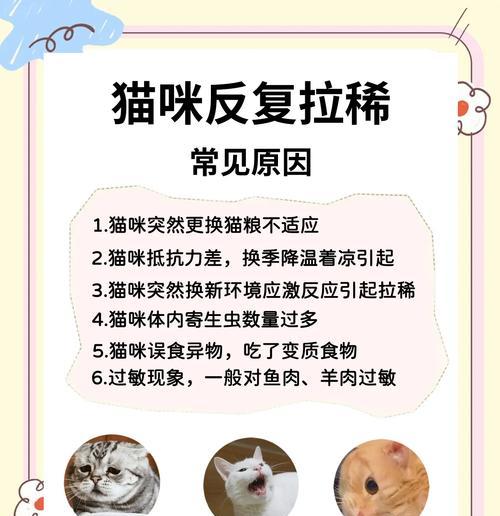 哪种猫粮会导致猫咪拉得不快？这是什么原因？