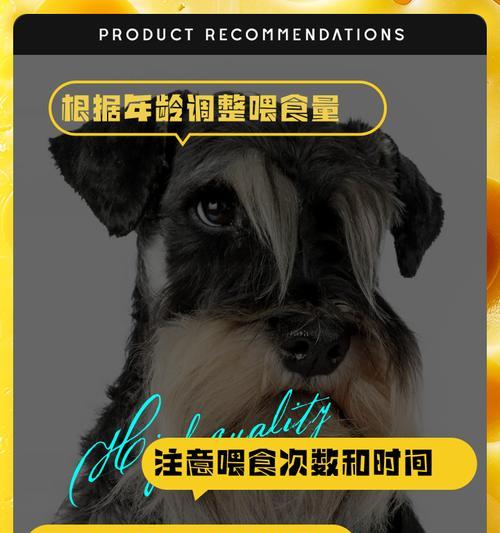 三个月大的雪纳瑞每天应该吃多少食物？喂食量如何控制？