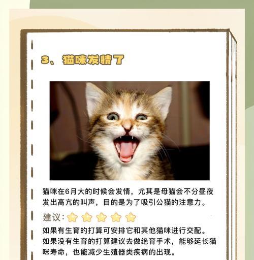 猫咪吃完猫粮后持续叫唤的原因是什么？
