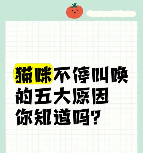 猫咪吃完猫粮后持续叫唤的原因是什么？
