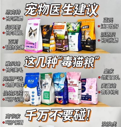 猫咪为何对肉感兴趣却拒绝猫粮？
